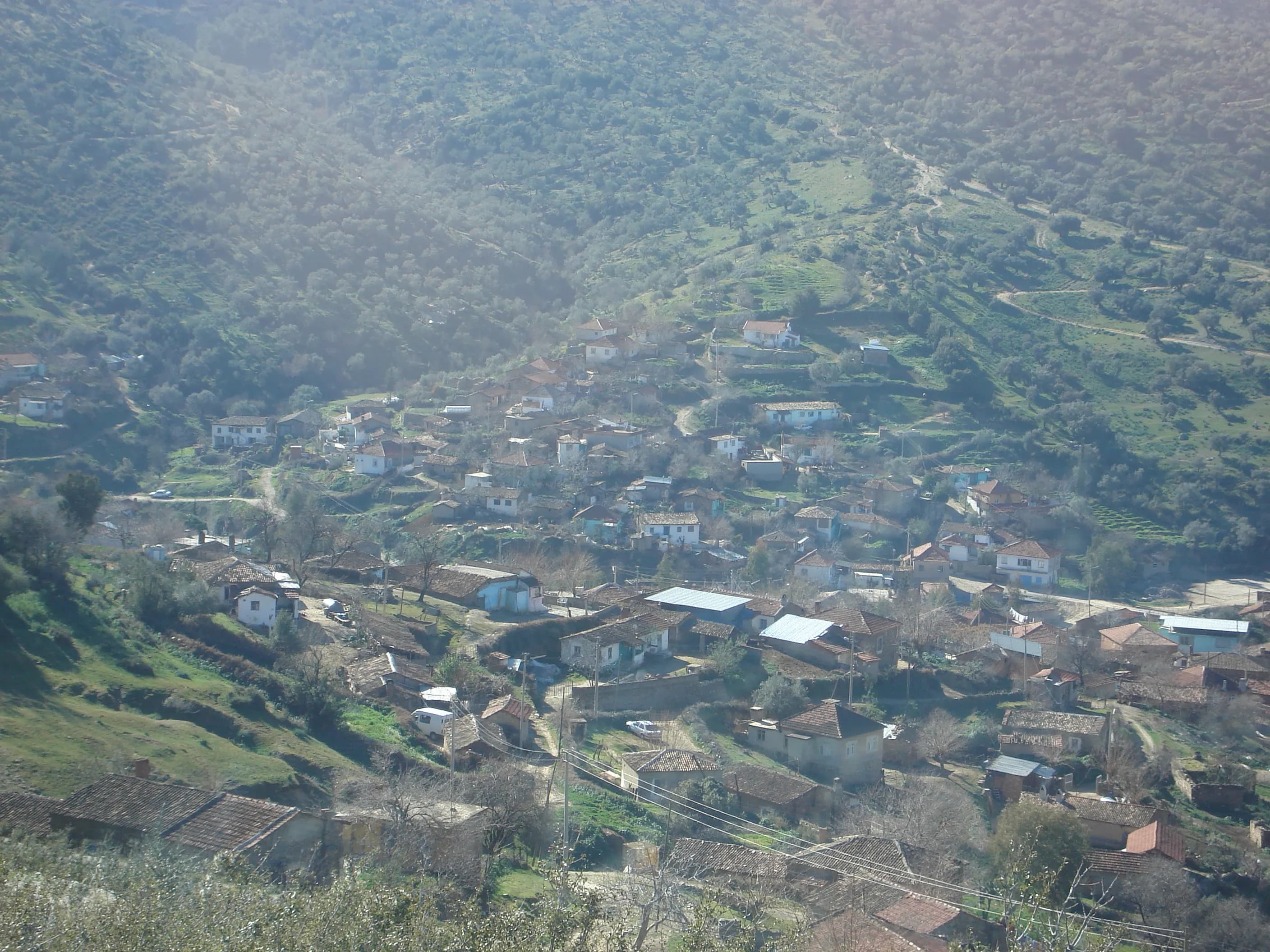 Şahnalı