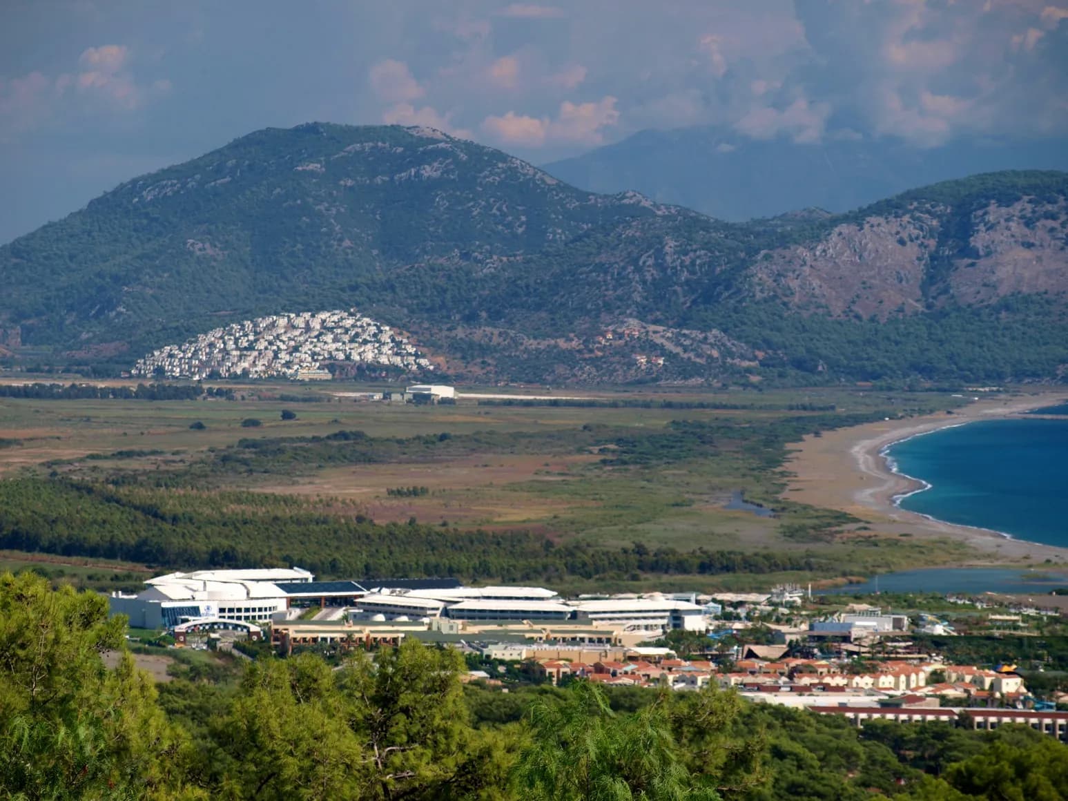 Sarıgerme