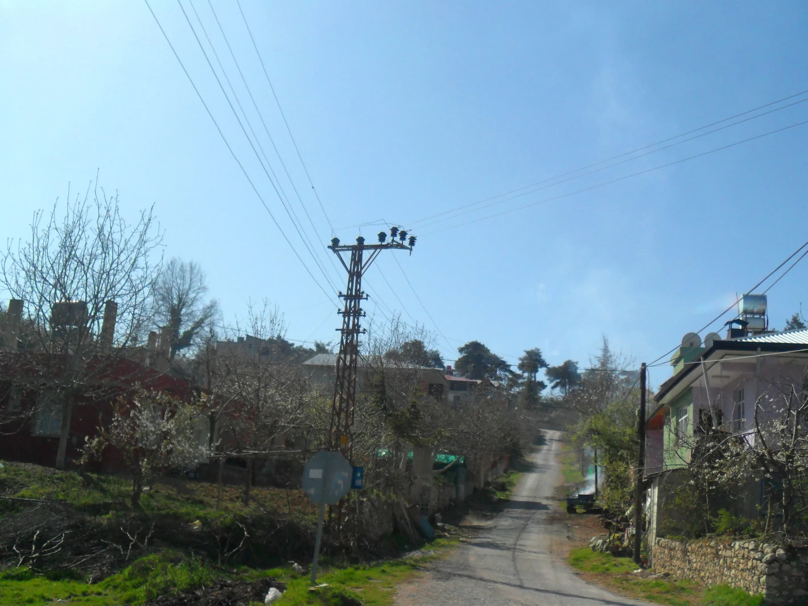 Sarıkavak
