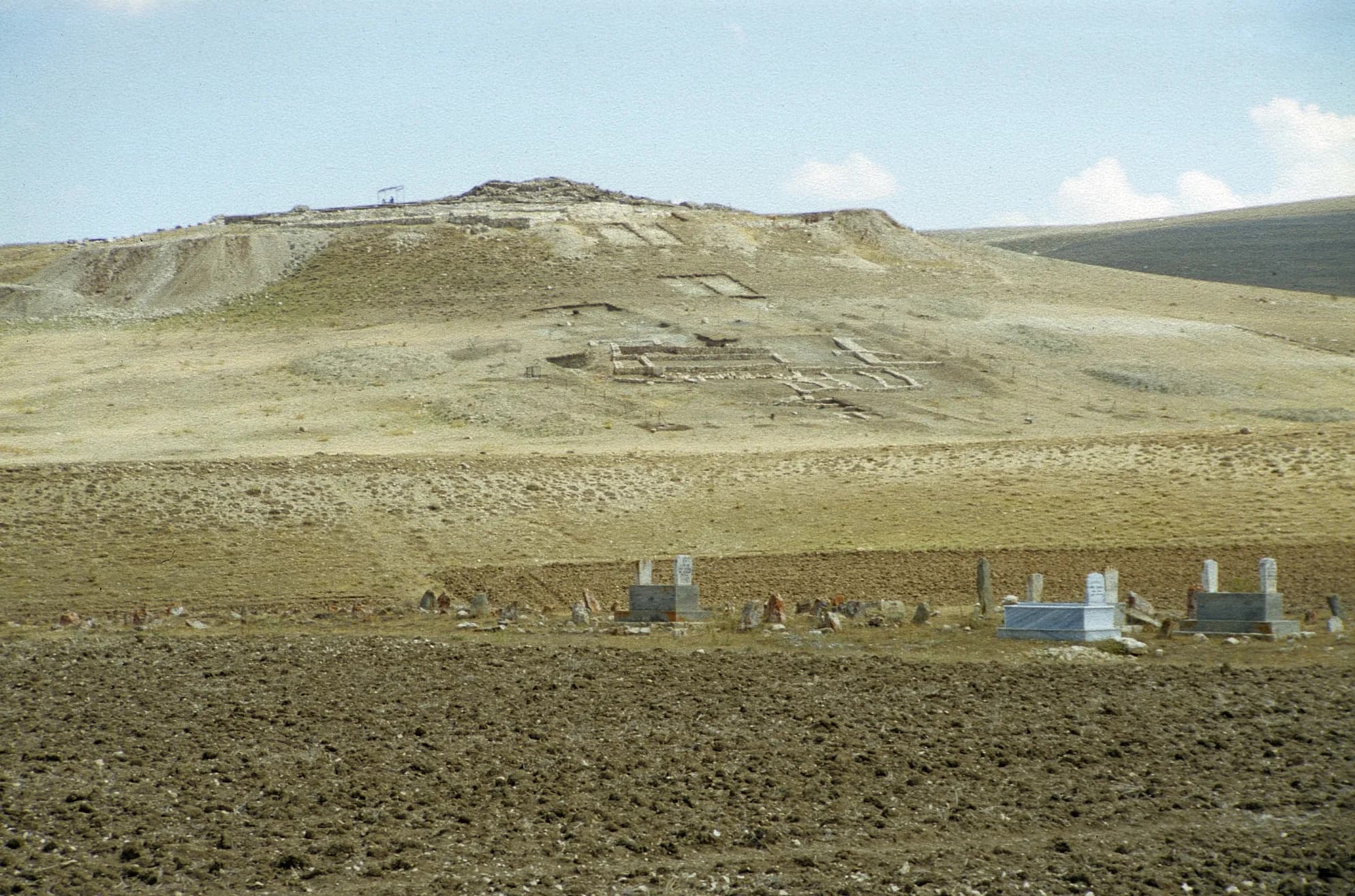 Sarissa (Kuşaklı Örenyeri)