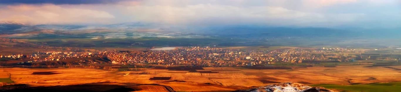 Şarkışla