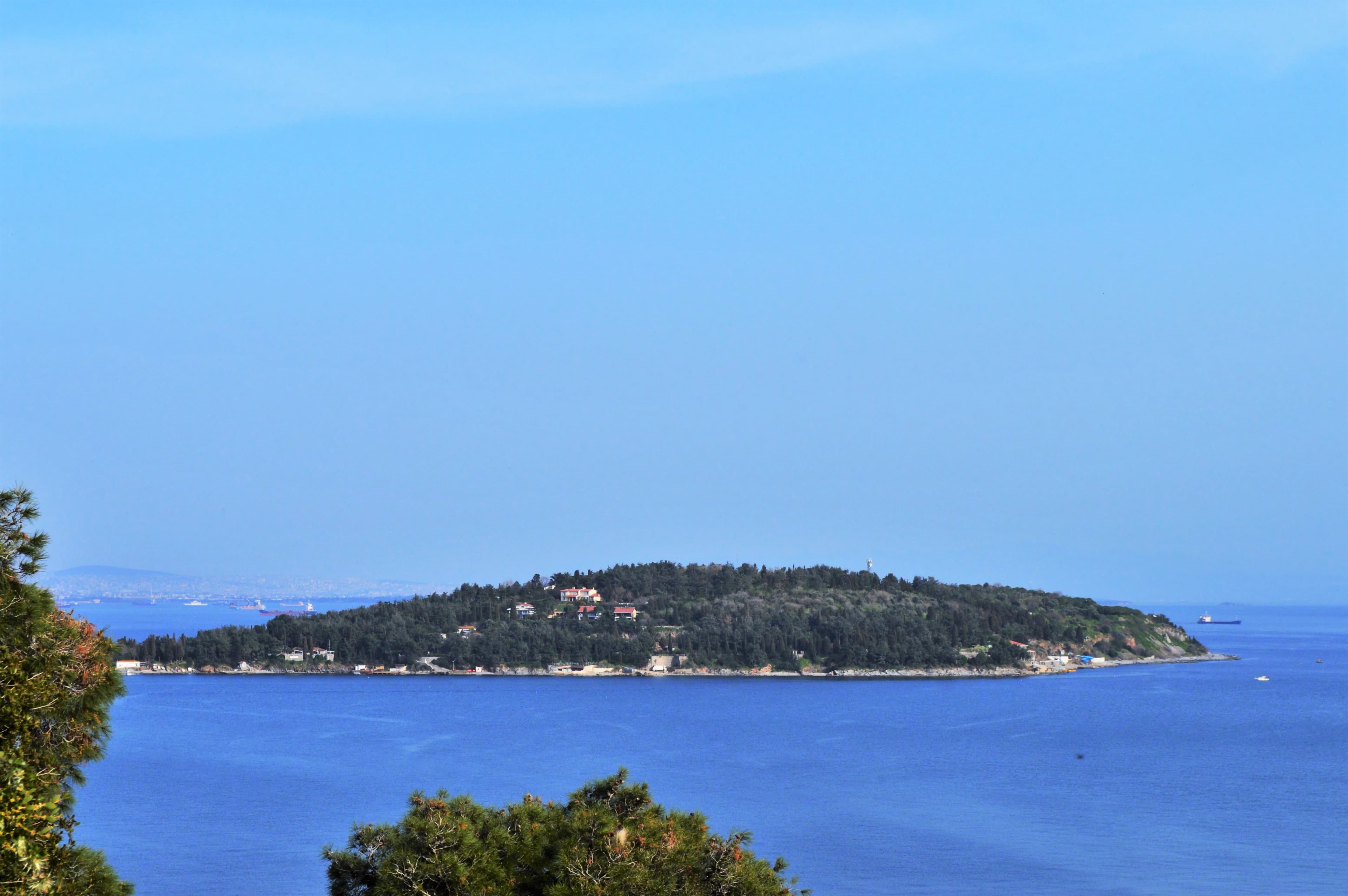 Sedef Adası