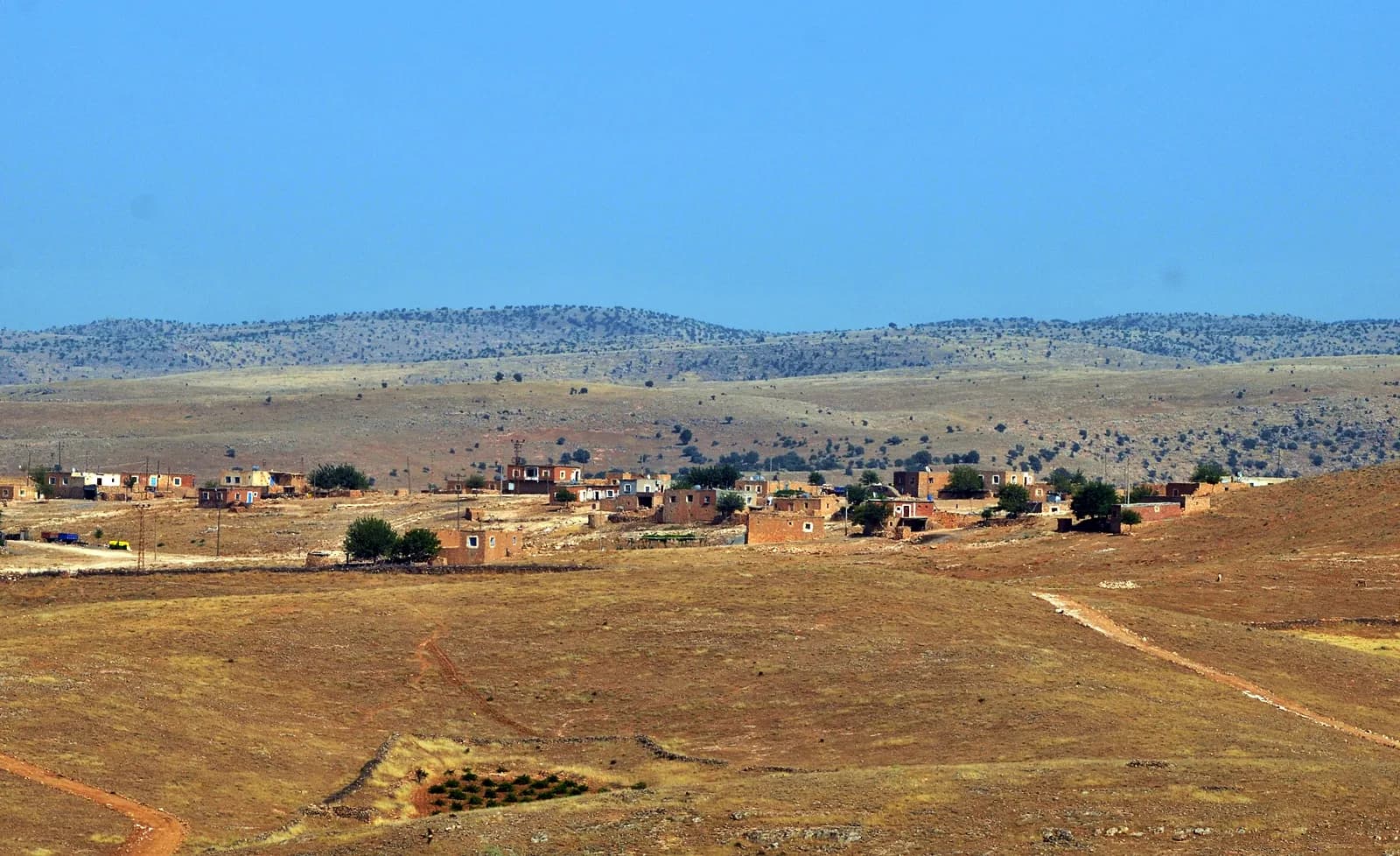 Şenocak, Savur