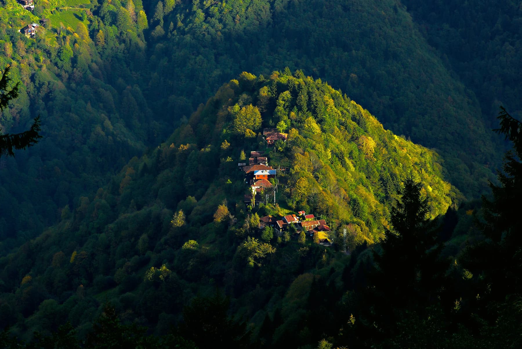 Şenyuva Köyü (Çinçiva)