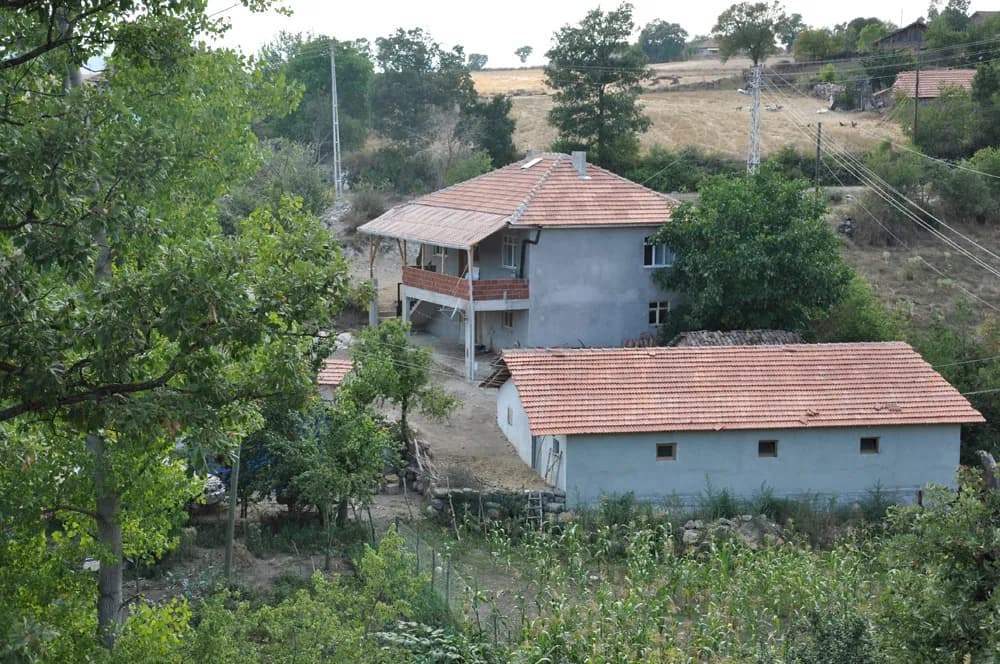 Şeyhali Mahallesi
