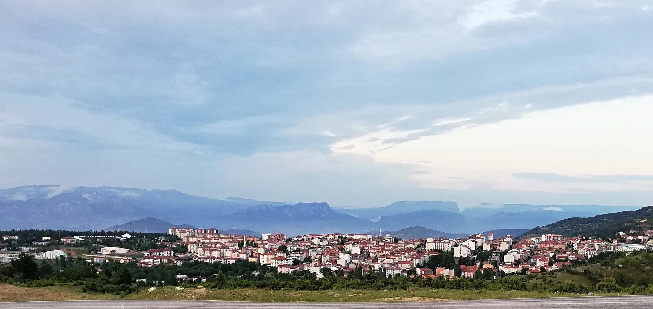 Söğüt