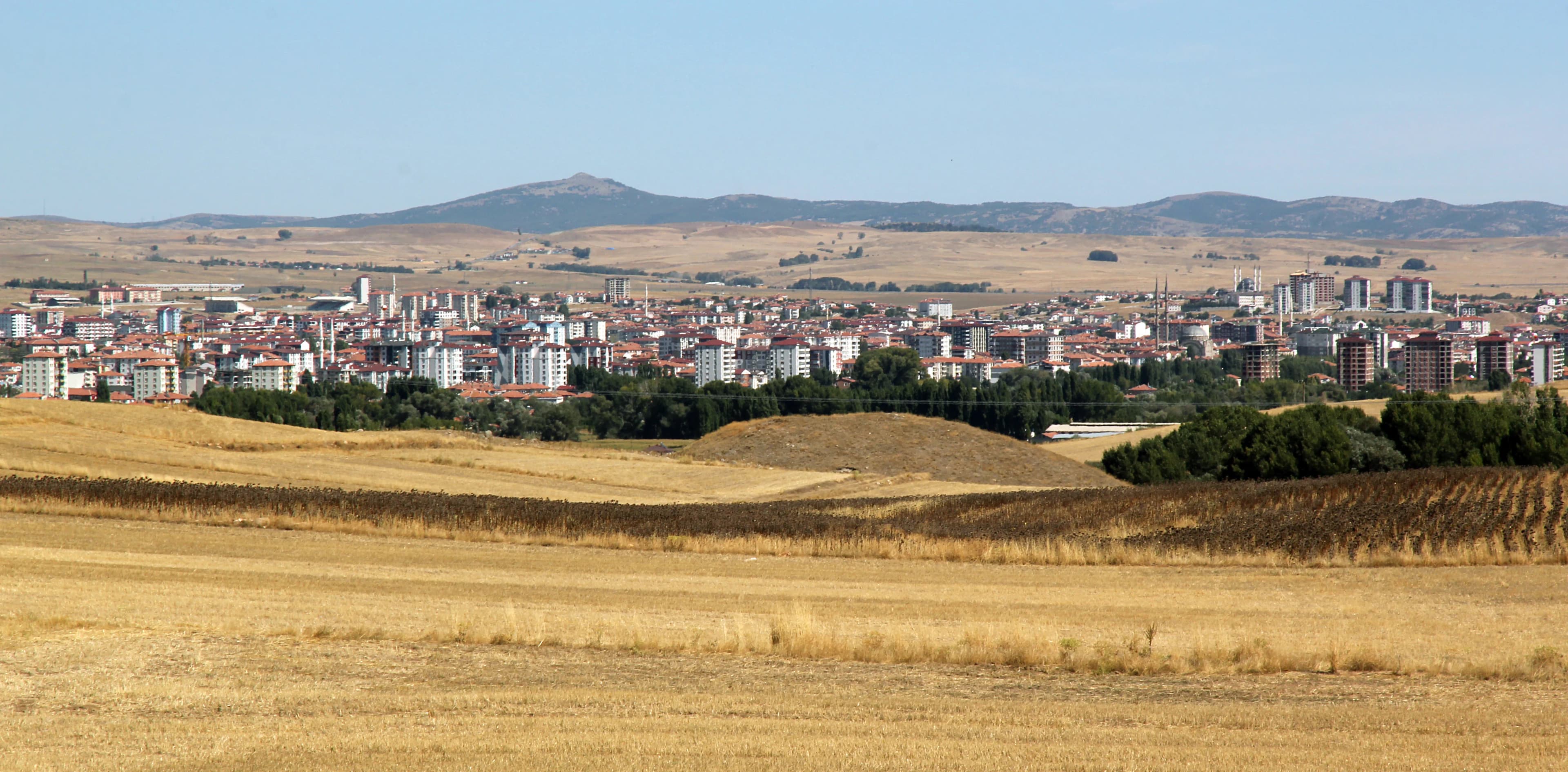 Sorgun