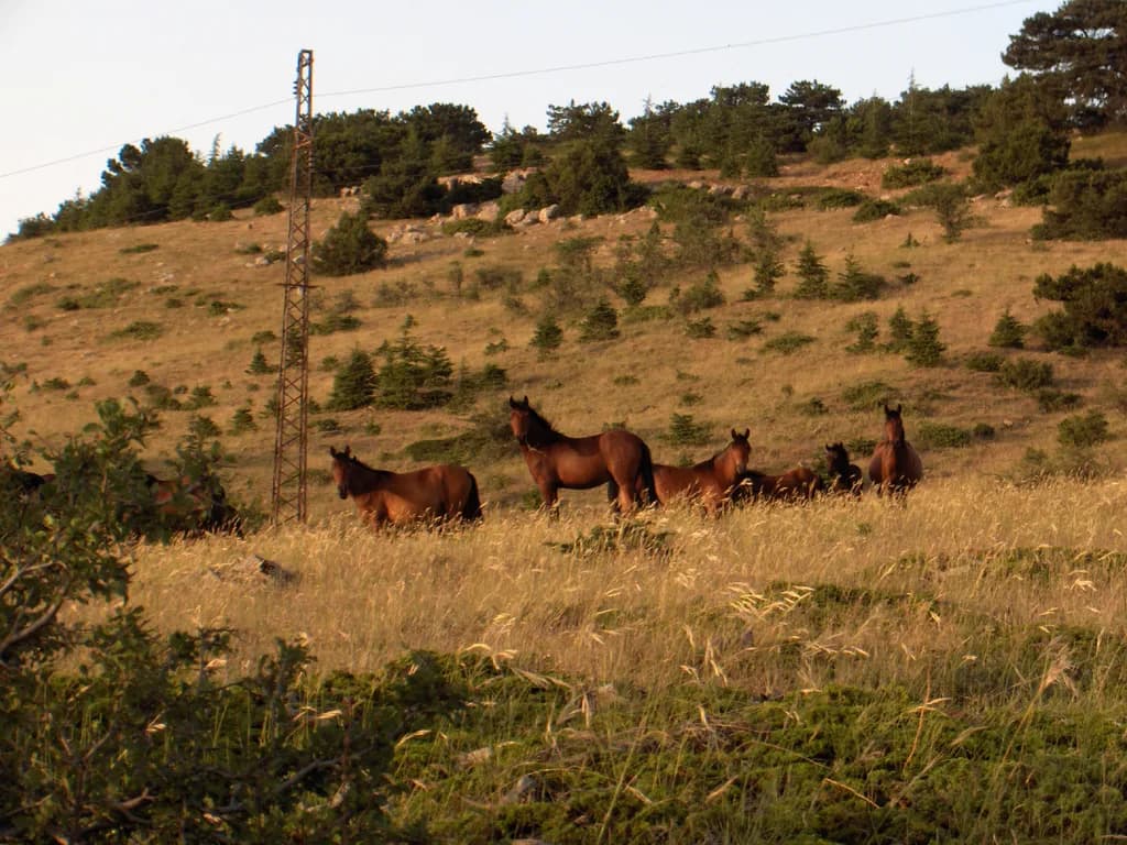 Spil Dağı Millî Parkı