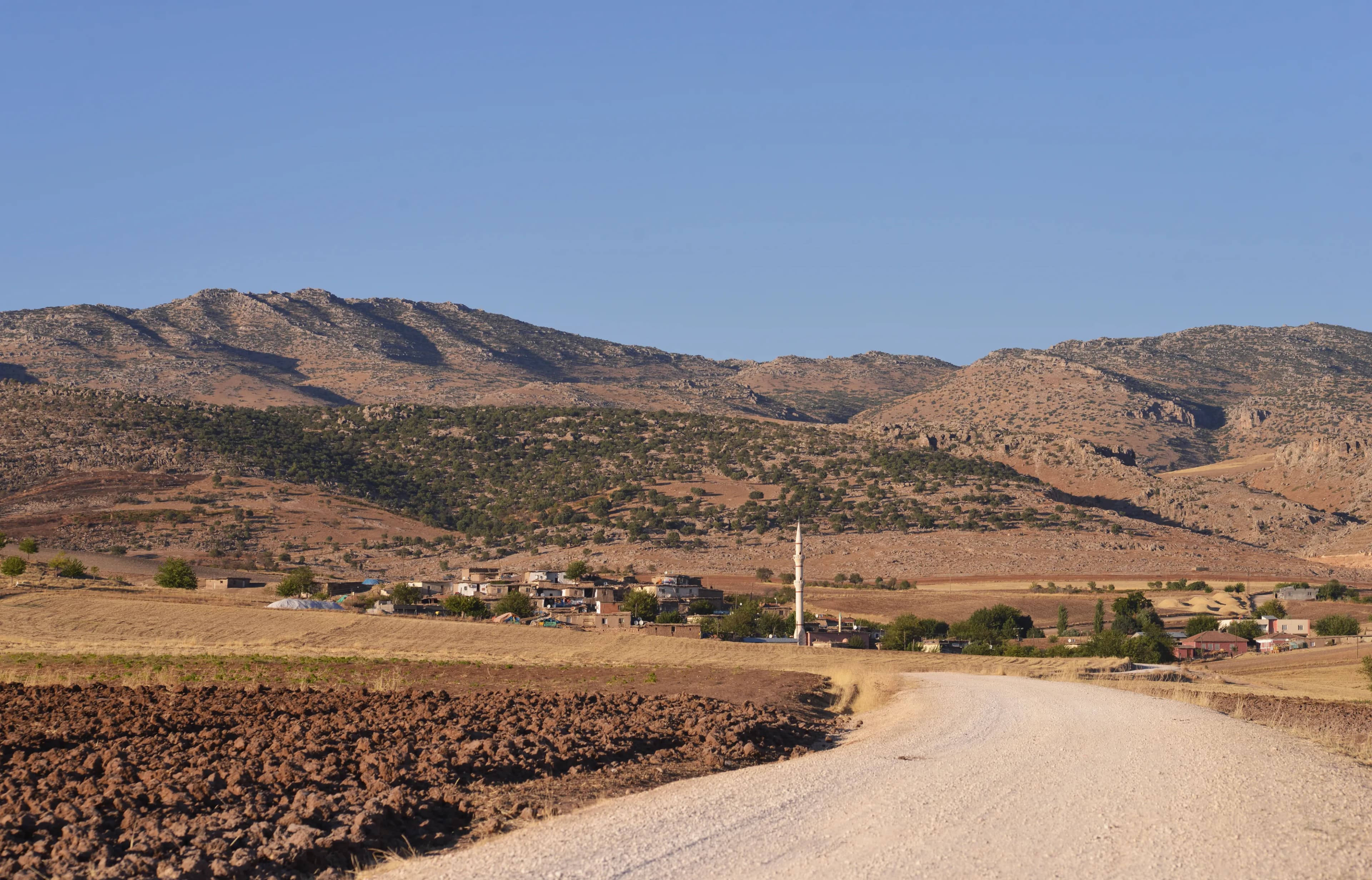 Susuz Mahallesi (Silvan)