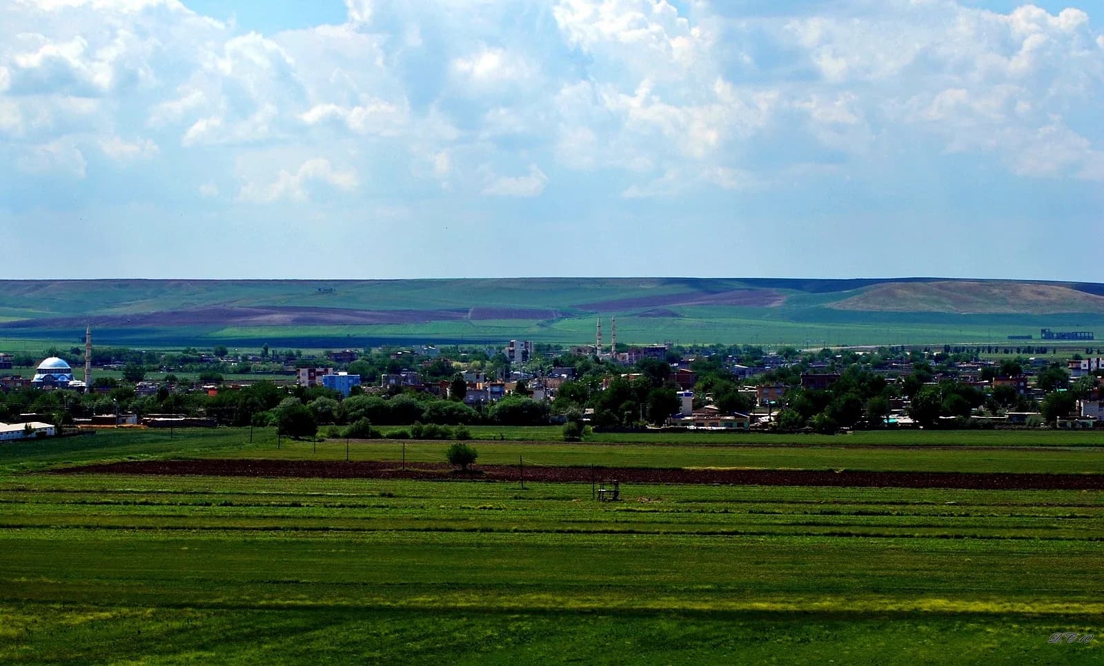 Tepe Mahallesi
