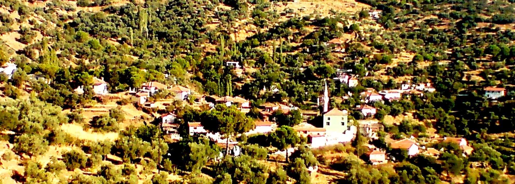 Timinciler Mahallesi