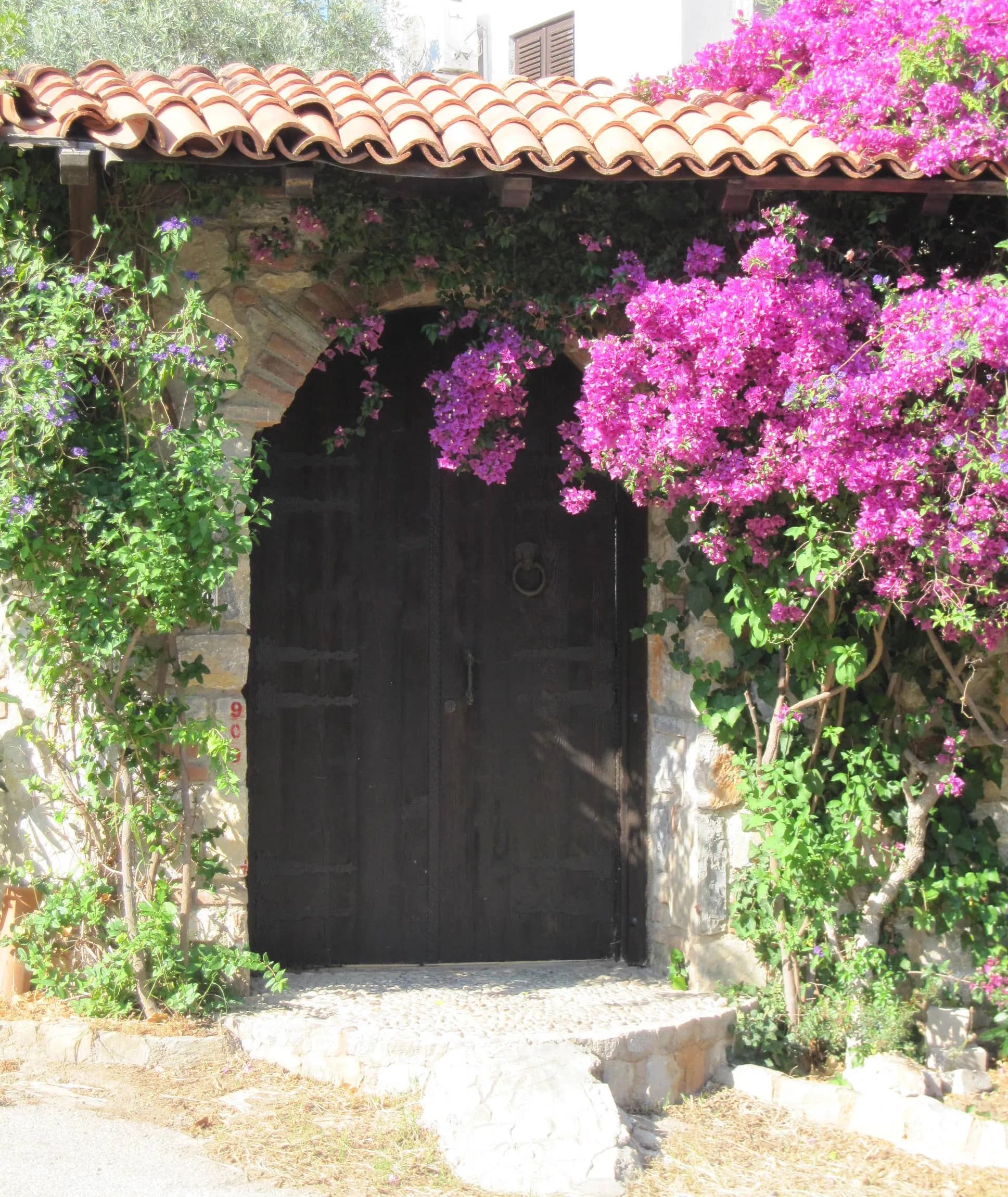 Torba, Bodrum