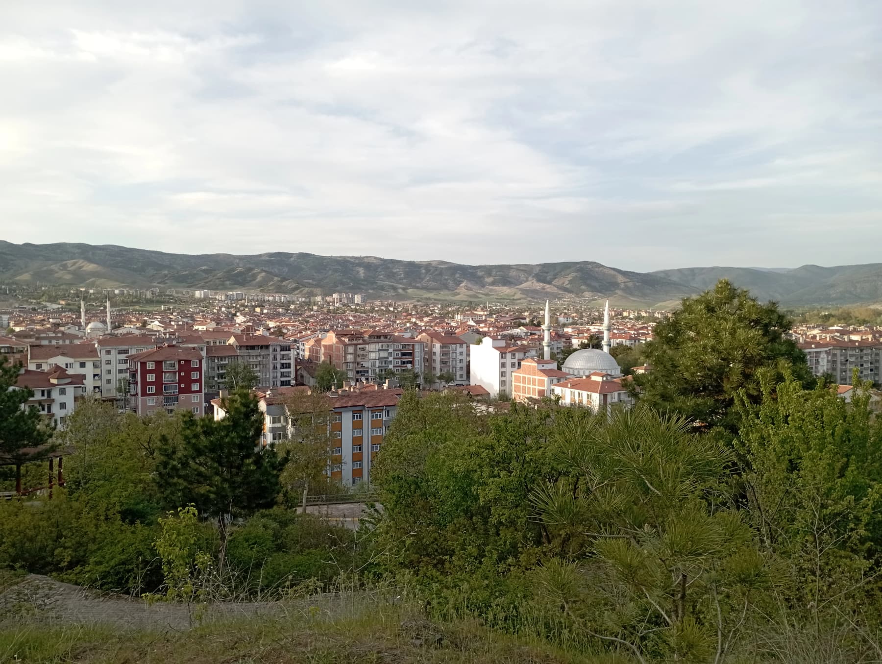 Turhal