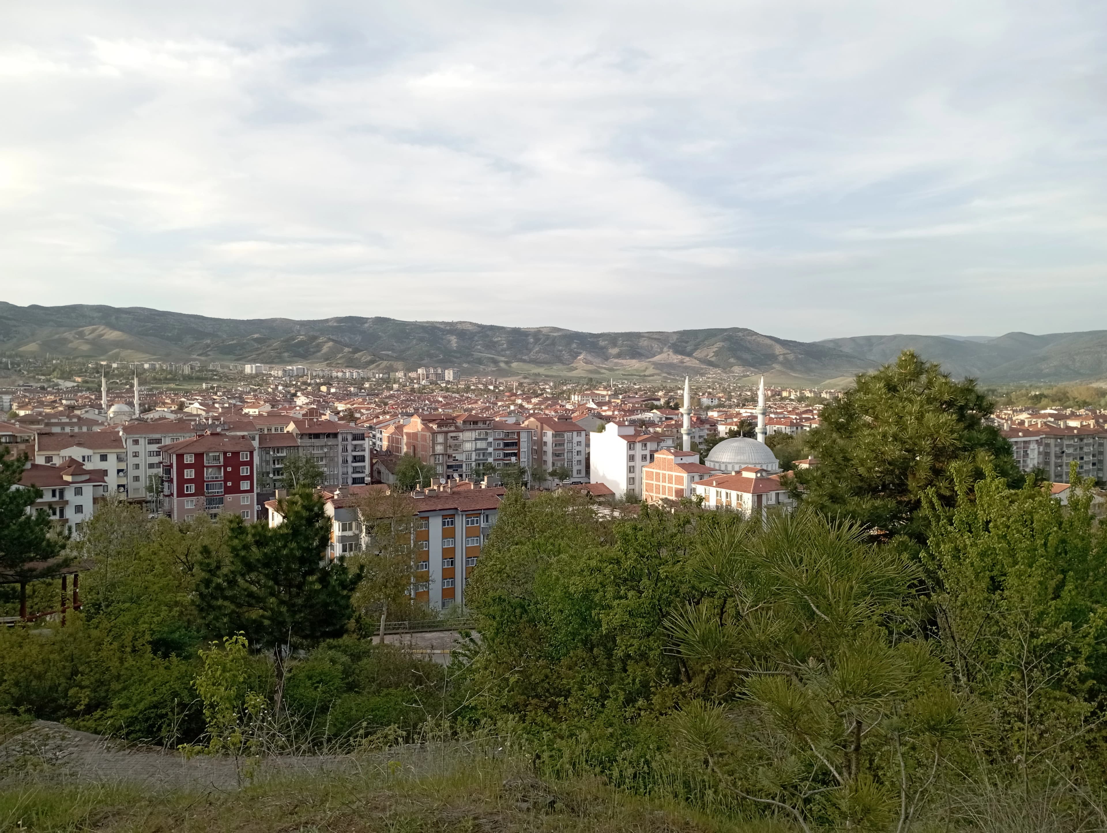 Turhal