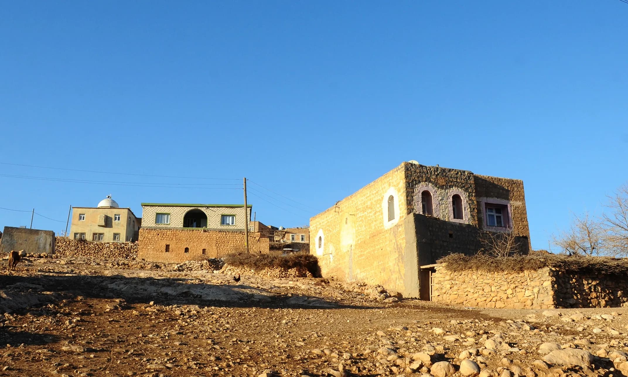 Üçerli, Savur