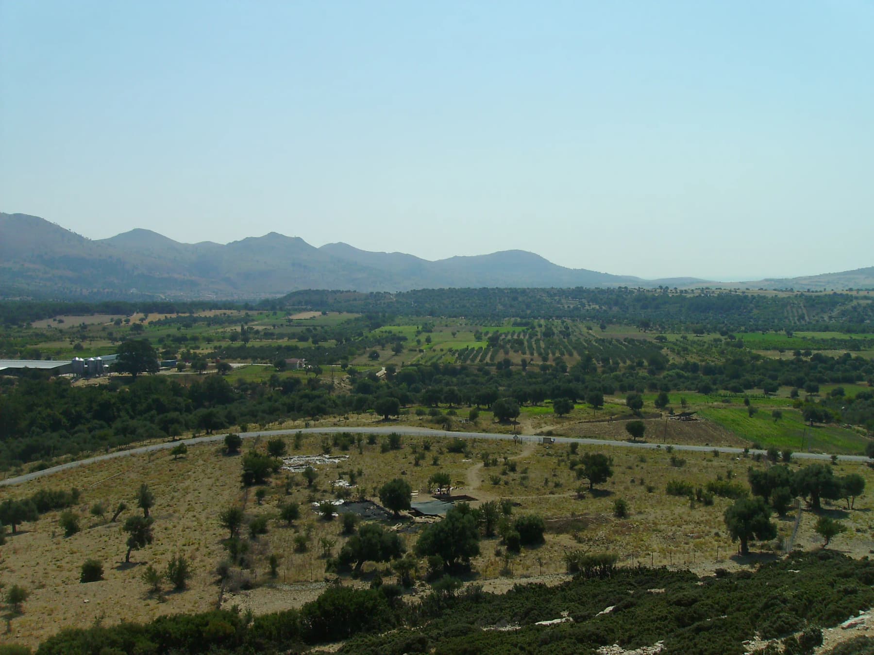 Uğurlu / Zeytinli Höyüğü