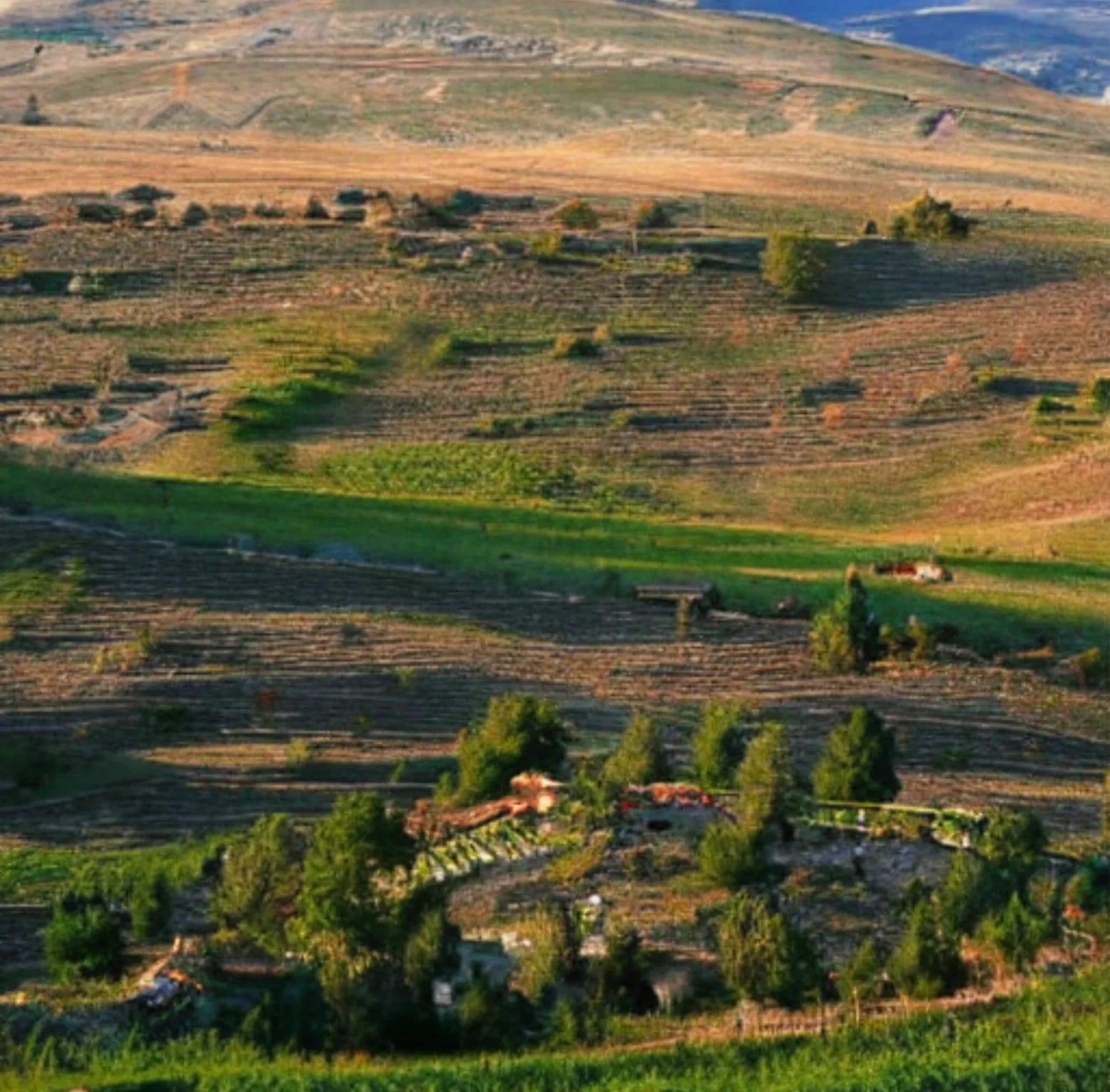 Uzunyayla Platosu