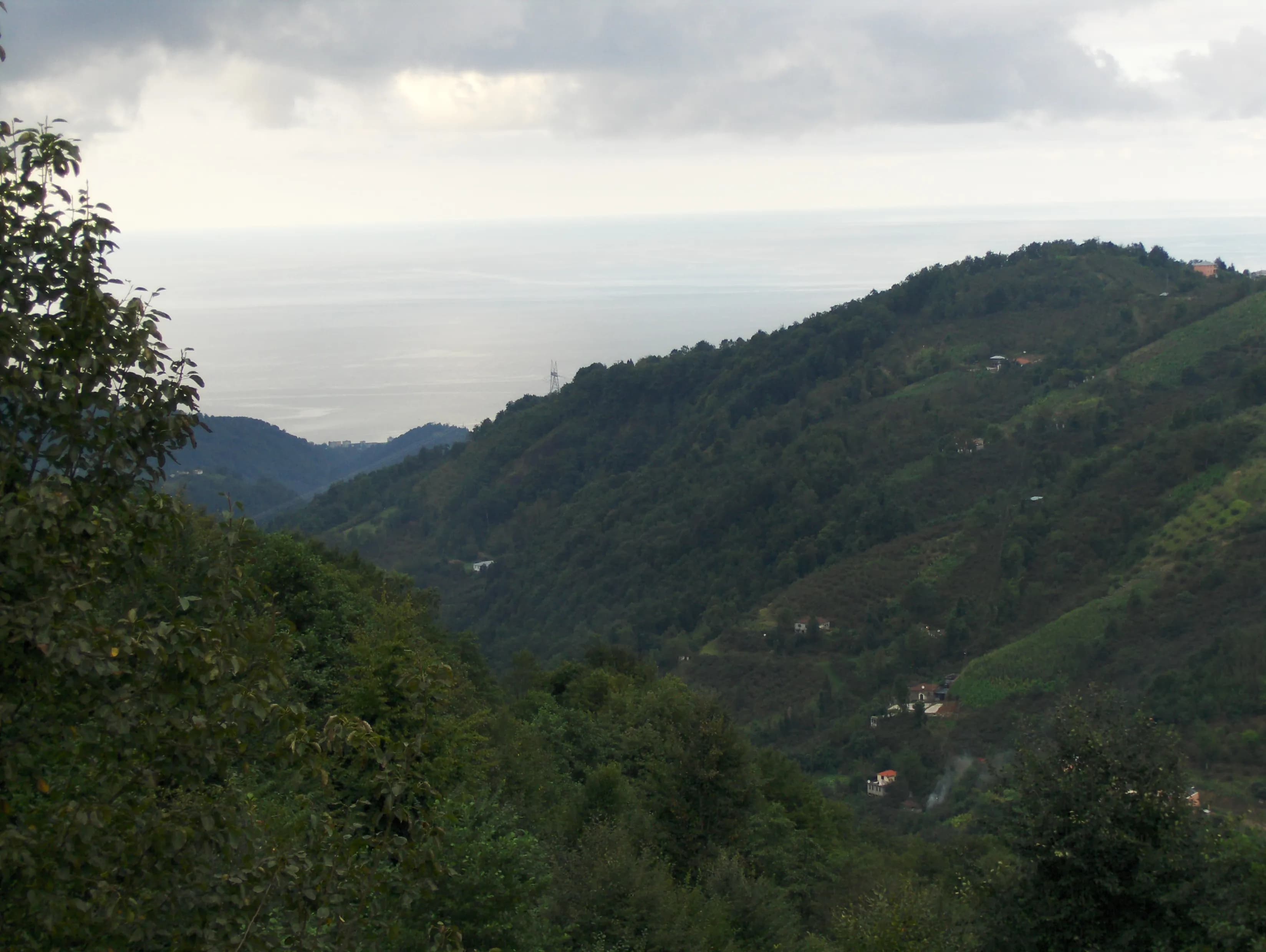 Vakfıkebir