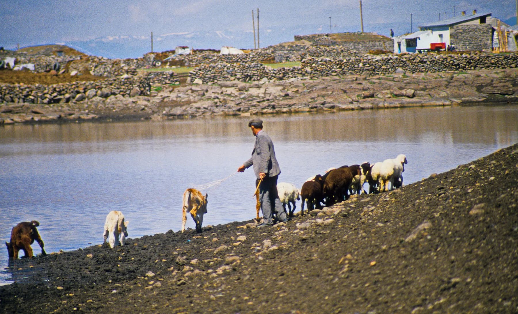 Yalınkaya Köyü