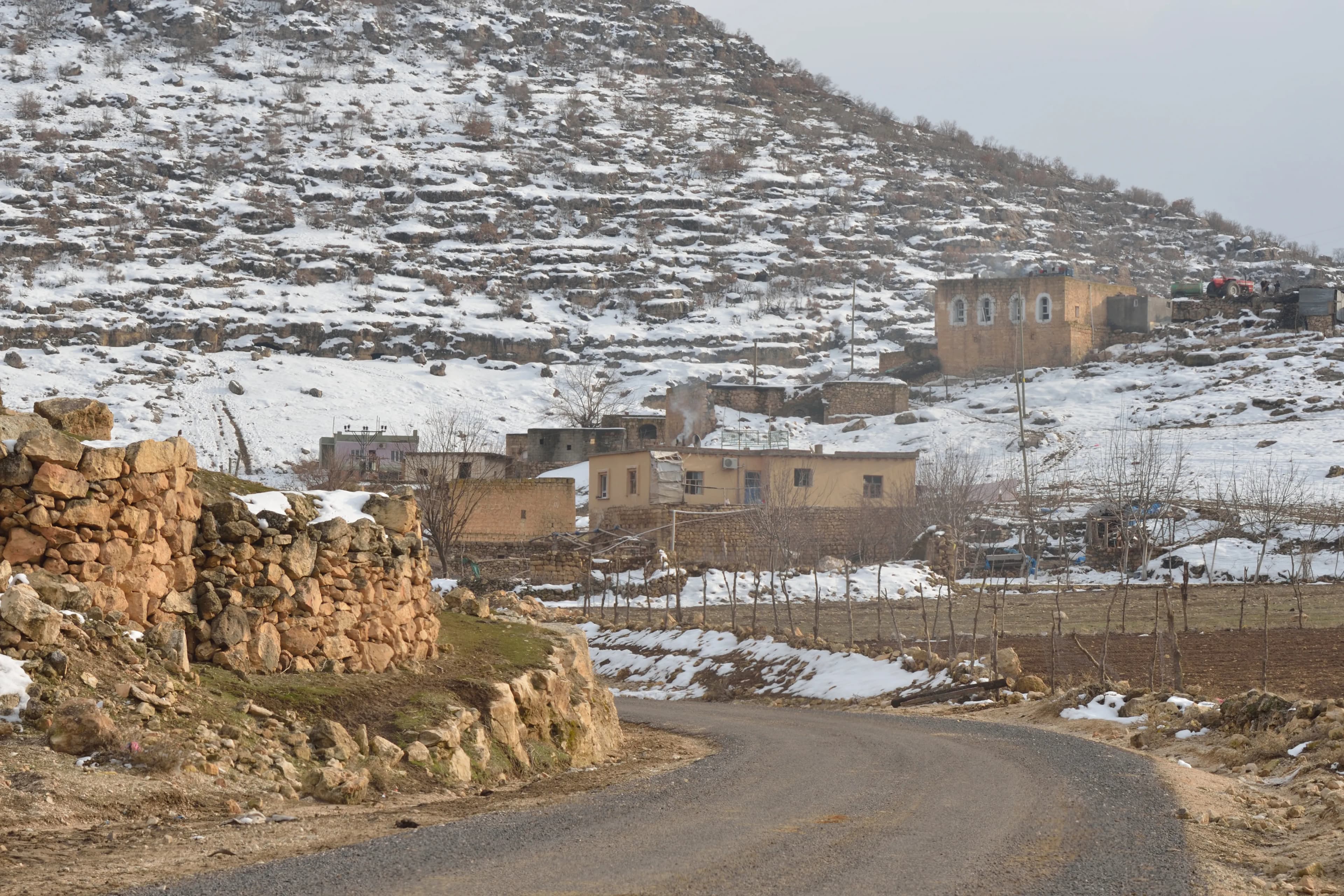 Yaylayanı