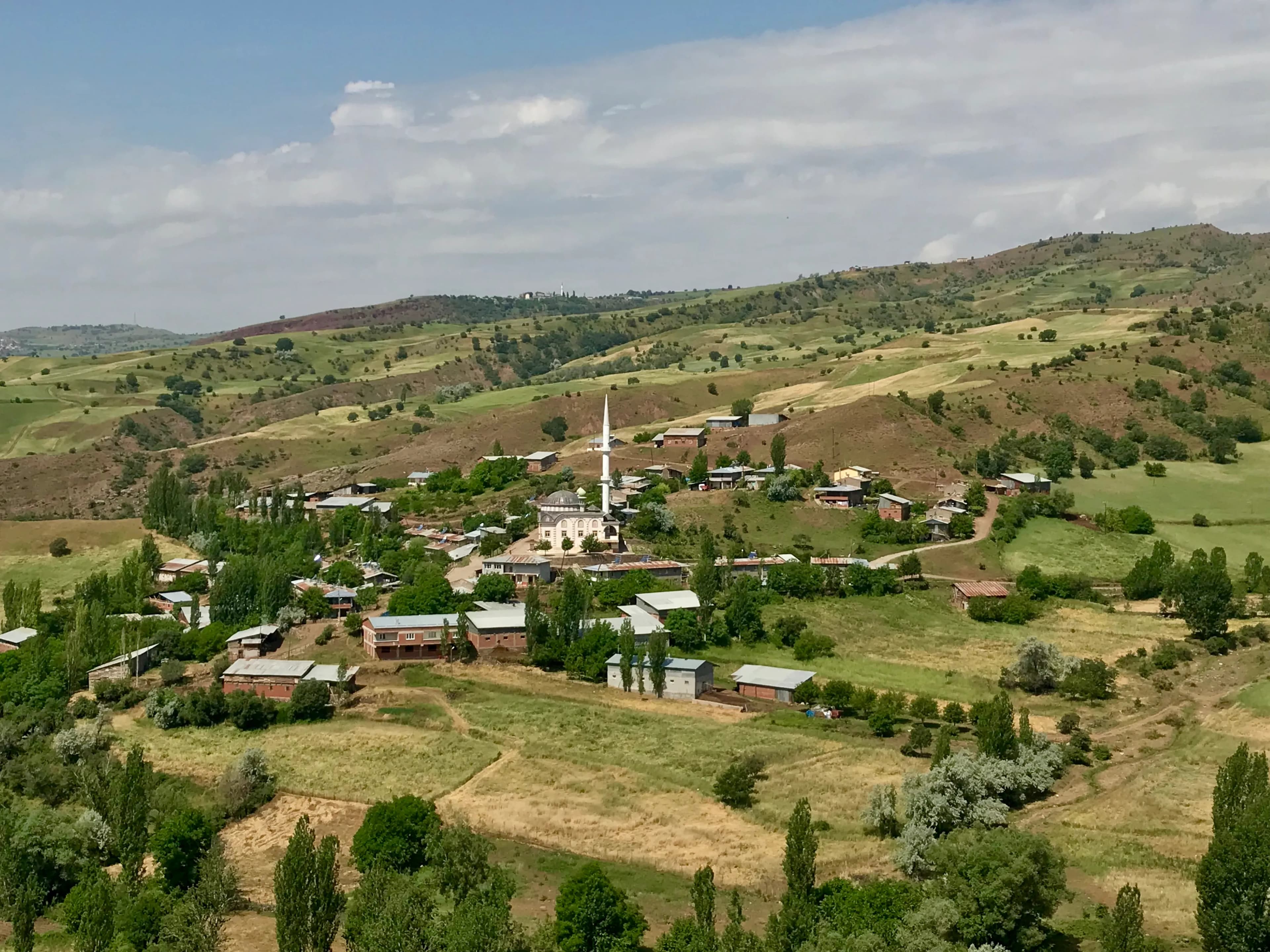 Yedikardeş Köyü