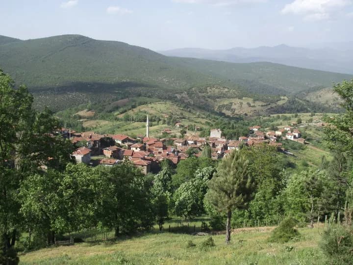 Yeşiller Mahallesi