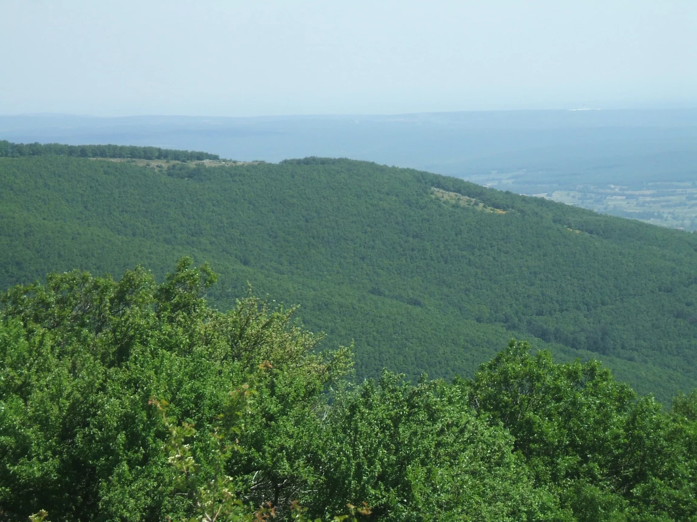 Yıldız Dağları (Istranca Dağları)