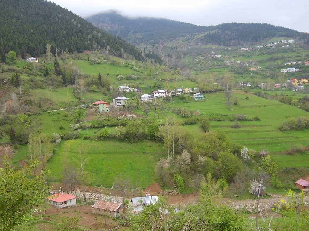 Zigana Köyü