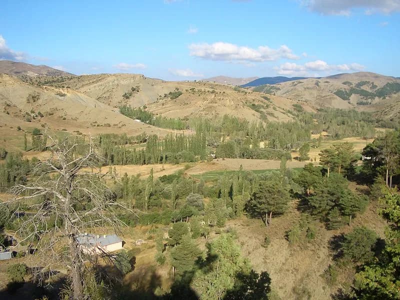 Zoğallı Köyü