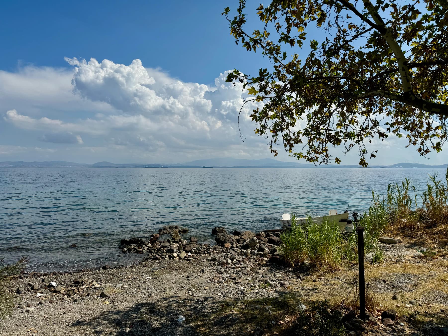 Denizköy, Dikili