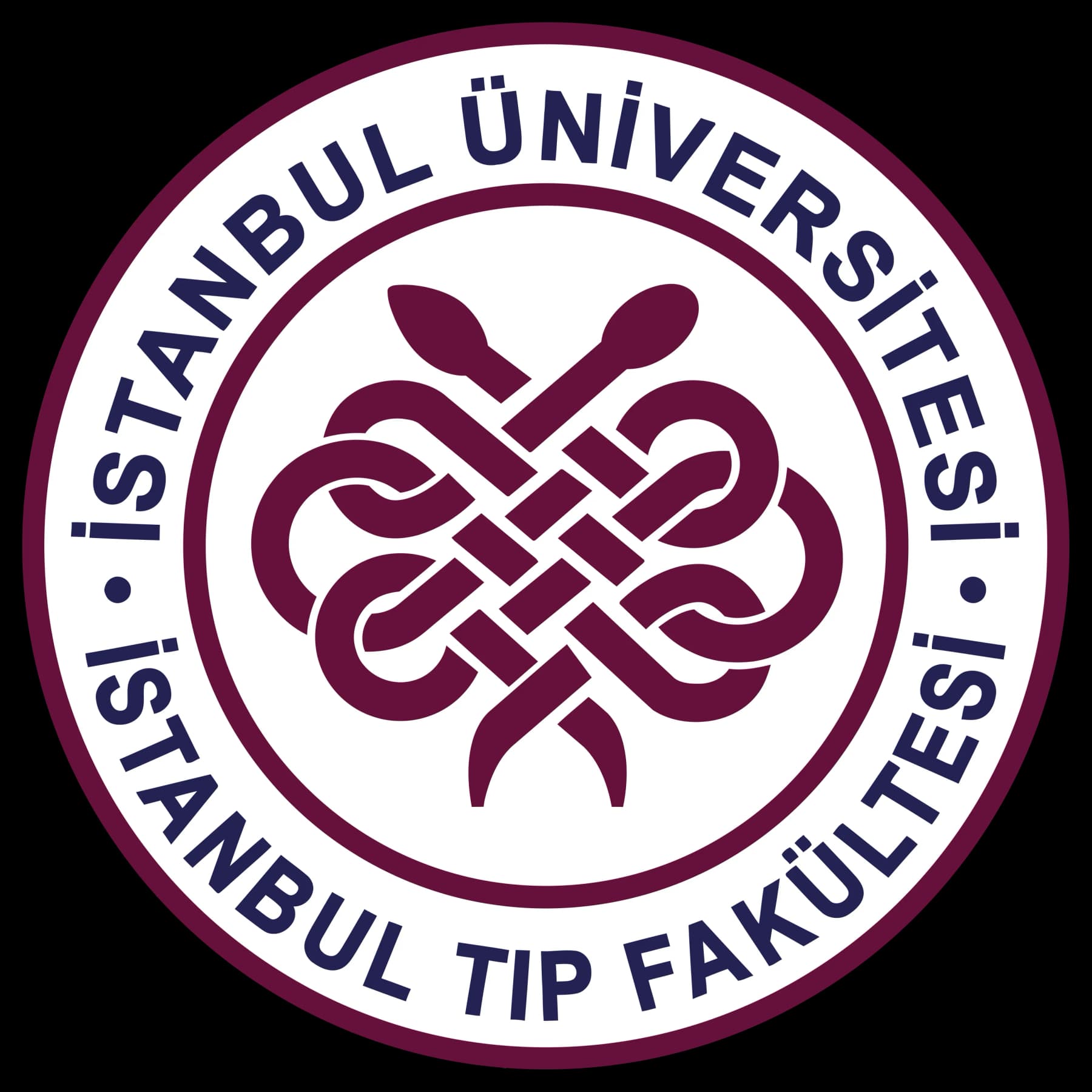 İstanbul Üniversitesi İstanbul Tıp Fakültesi