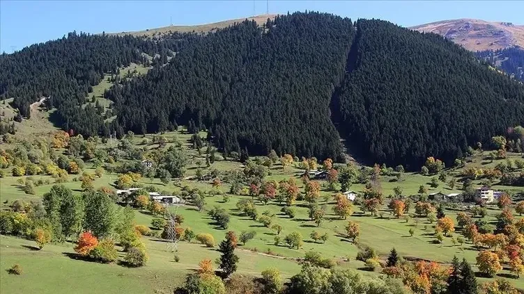 9.Şavşat (Artvin)