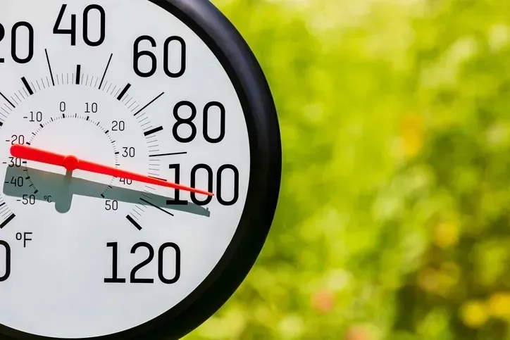 GEÇMİŞTEKİ ACI TECRÜBELER El Nino'nun yıkıcı gücü hafife alınacak bir durum değil. Bugüne kadar kaydedilen en güçlü El Nino olan 1997-1998 döngüsünde dünya genelinde yaklaşık 23.000 kişi hayatını kaybetmiş ve günümüz kurlarıyla on milyarlarca dolarlık maddi hasar oluşmuştu. Benzer şekilde 2015 yılında Avrupa'da ve İngiltere'de görülen tarihi sel felaketlerinin sorumlusu da yine bu hava olayıydı.