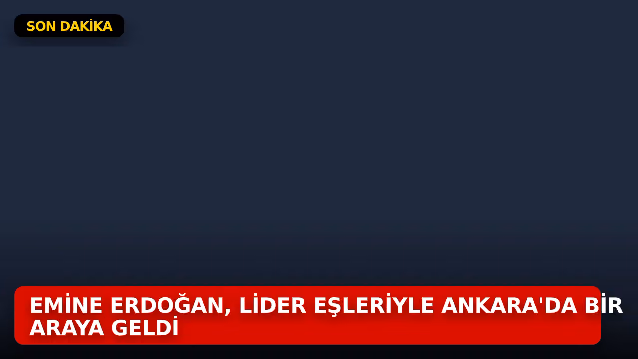 Emine Erdoğan konulu haberin kapak görseli