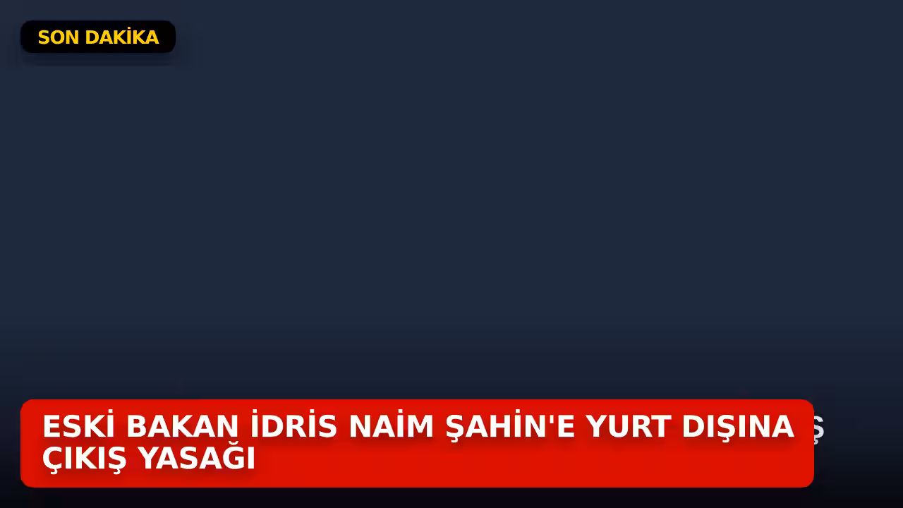 İdris Naim Şahin konulu haberin kapak görseli