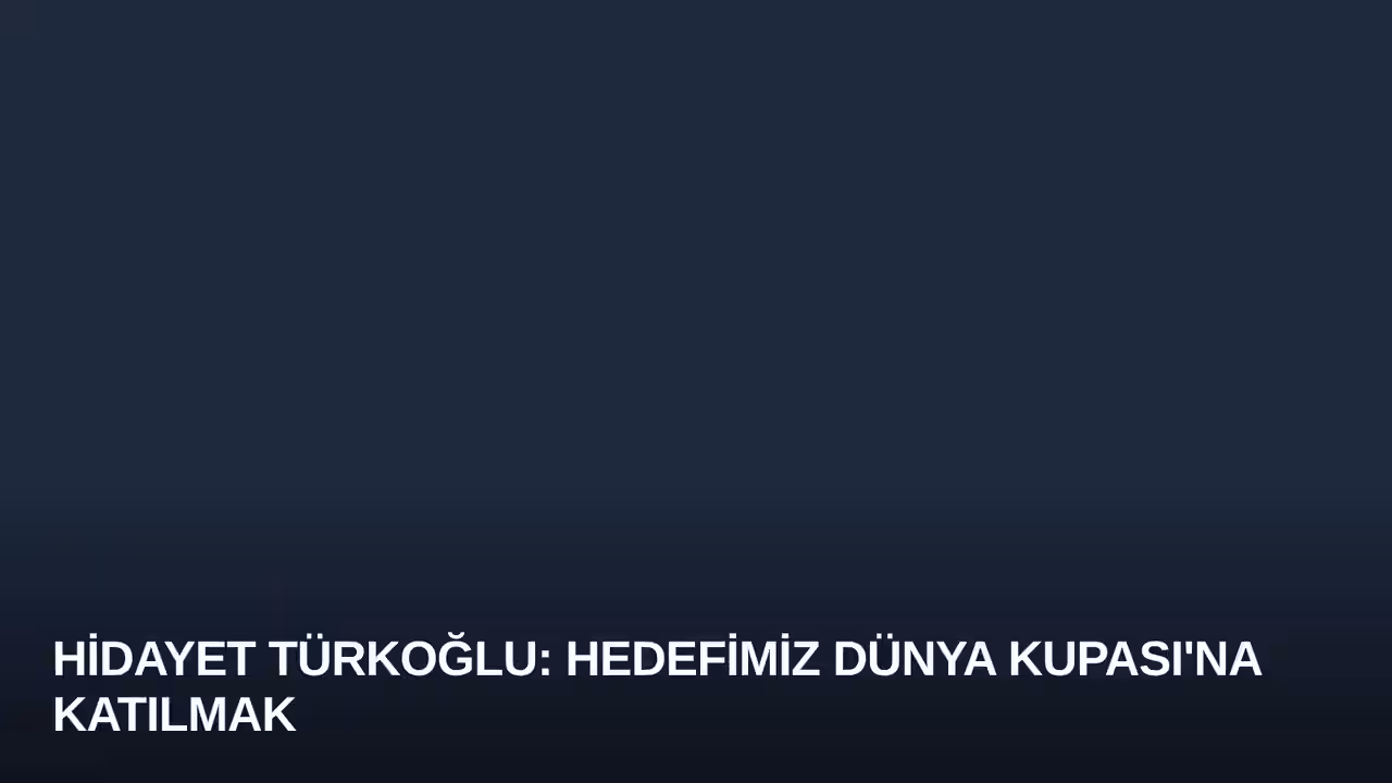 Hidayet Türkoğlu konulu haberin kapak görseli