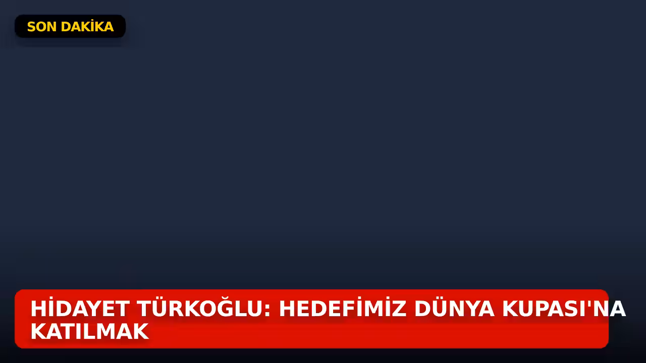 Hidayet Türkoğlu konulu haberin kapak görseli