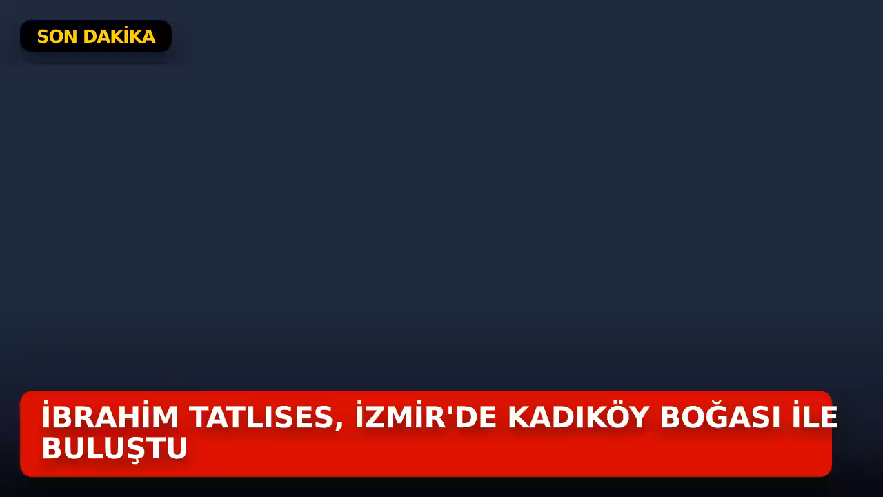 İbrahim Tatlıses konulu haberin kapak görseli
