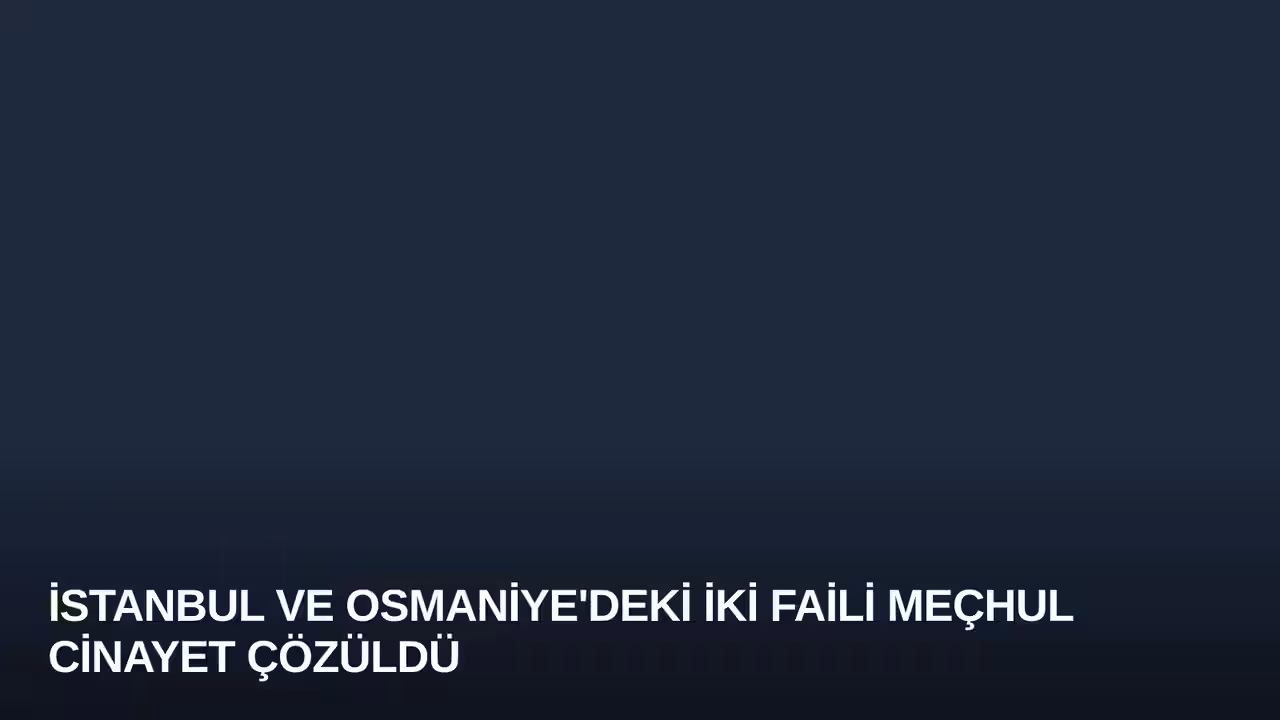 İstanbul ve Osmaniye'deki İki Faili Meçhul Cinayet Çözüldü
