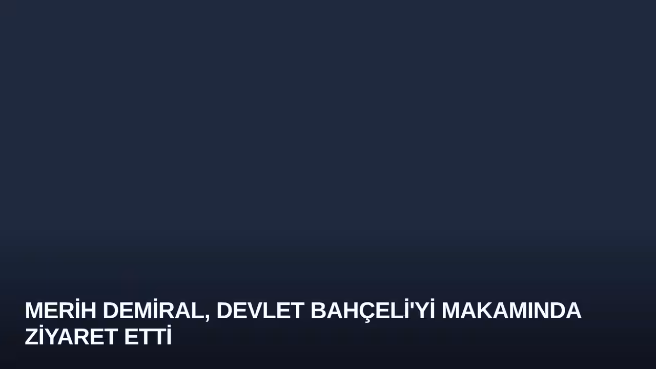 Merih Demiral, Devlet Bahçeli'yi Makamında Ziyaret Etti