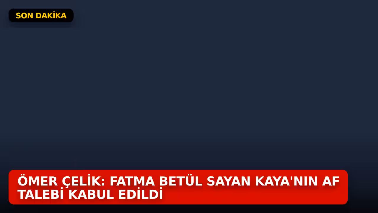 Ömer Çelik konulu haberin kapak görseli