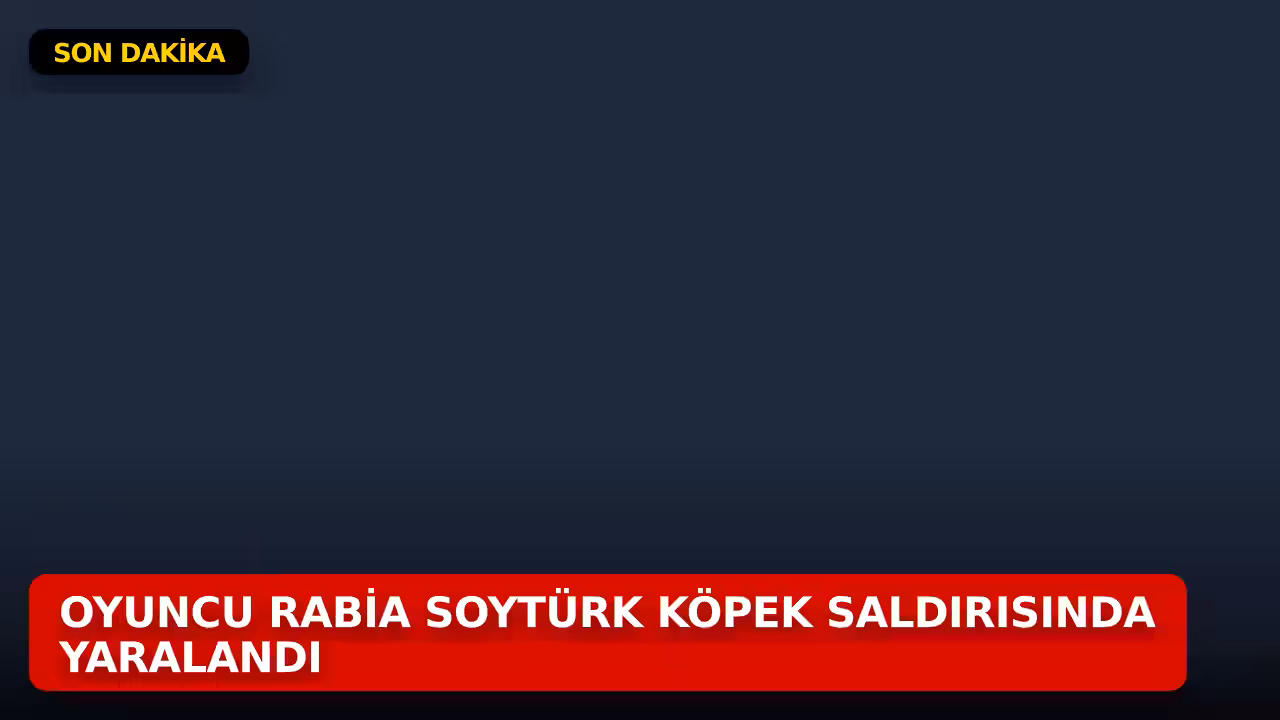 Rabia Soytürk konulu haberin kapak görseli