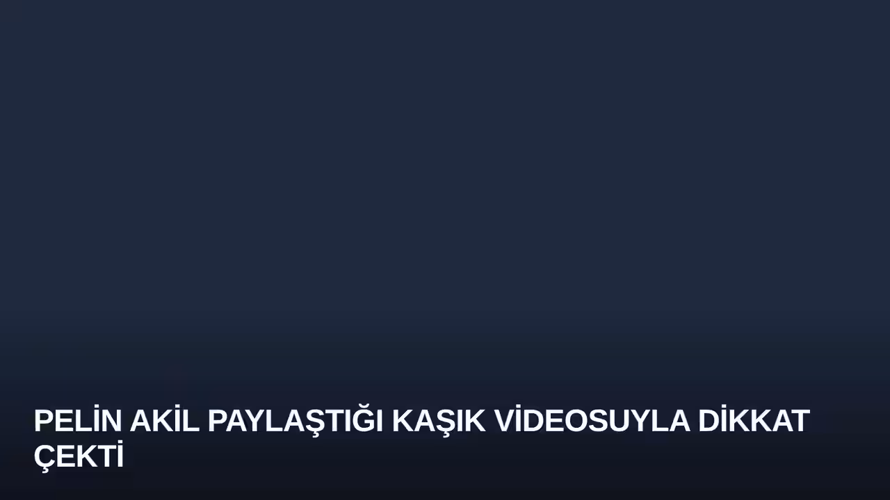 Pelin Akil konulu haberin kapak görseli