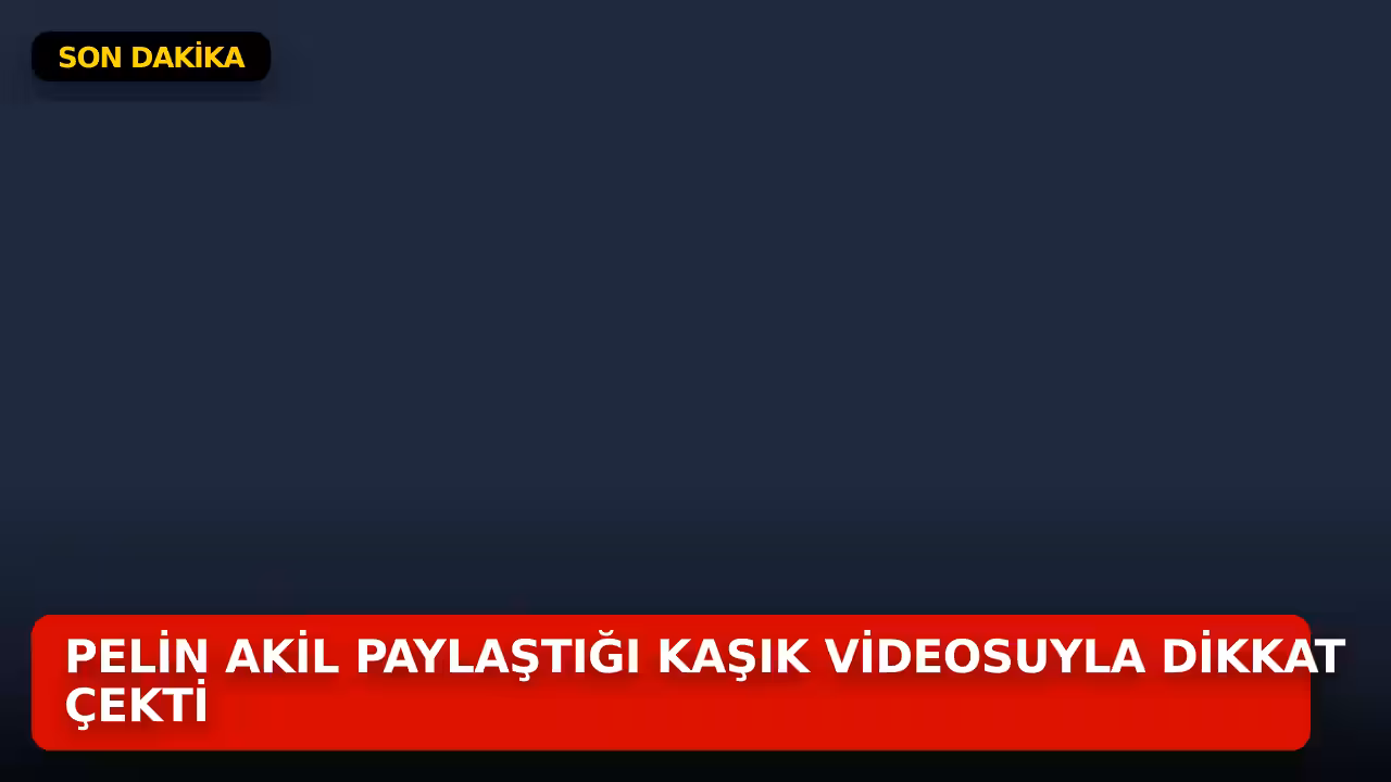 Pelin Akil konulu haberin kapak görseli