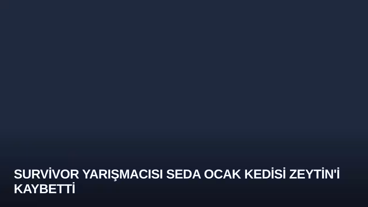 Survivor Yarışmacısı Seda Ocak Kedisi Zeytin'i Kaybetti