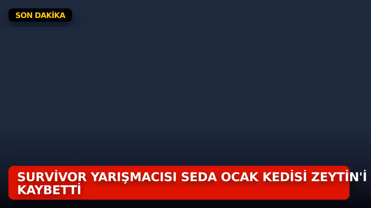 Seda Ocak konulu haberin kapak görseli