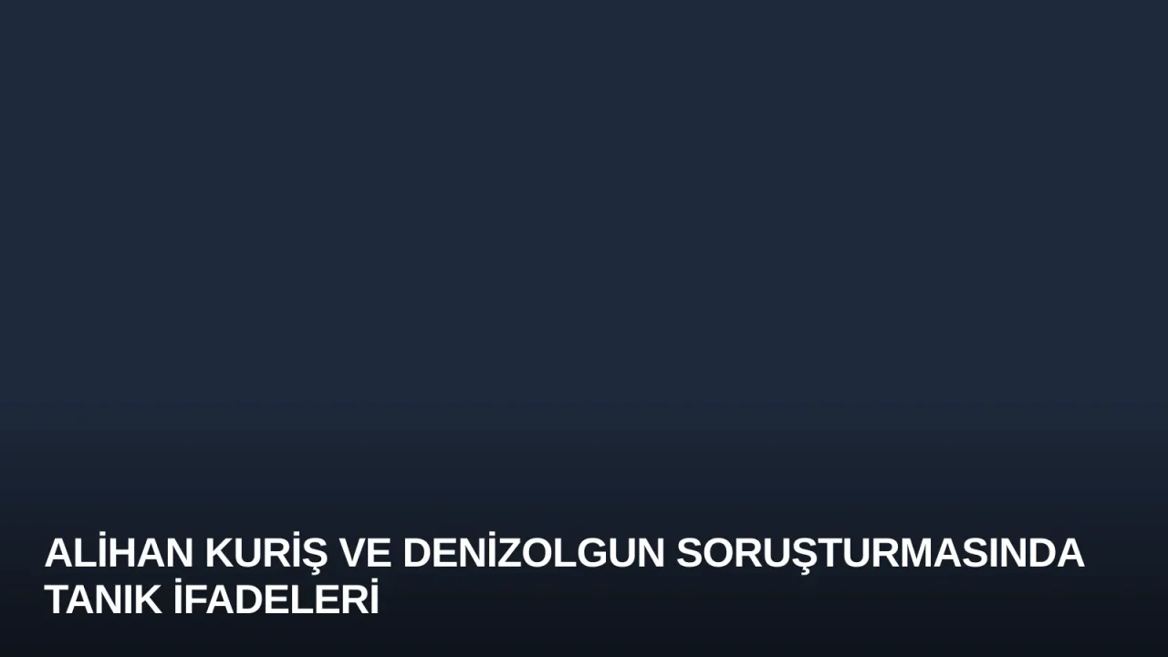 Alihan Kuriş ve Denizolgun Soruşturmasında Tanık İfadeleri