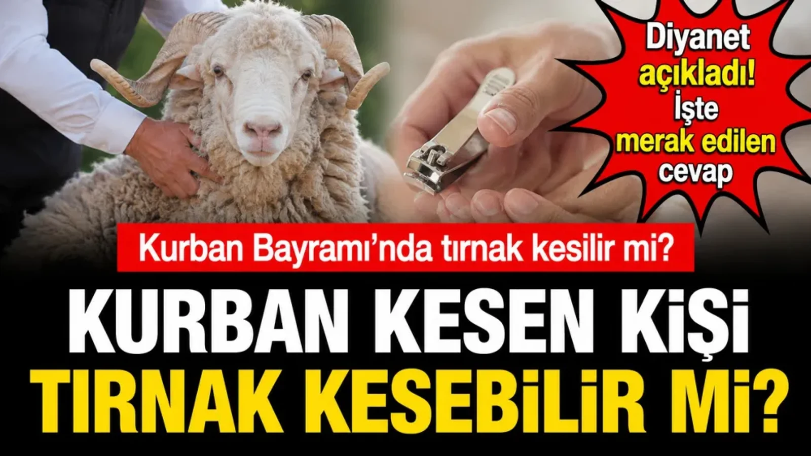 Haber kapak görseli