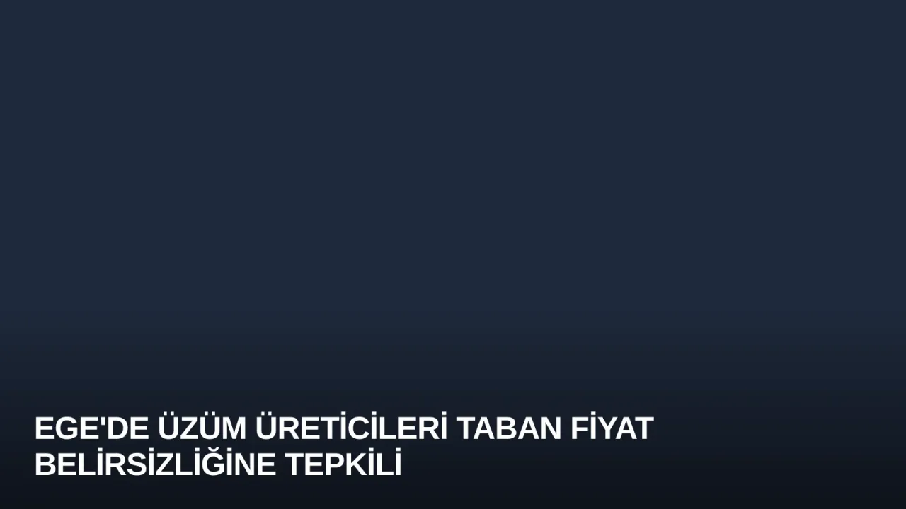 Ege'de Üzüm Üreticileri Taban Fiyat Belirsizliğine Tepkili