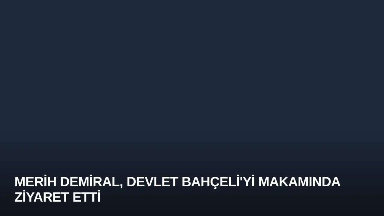 Merih Demiral, Devlet Bahçeli'yi Makamında Ziyaret Etti